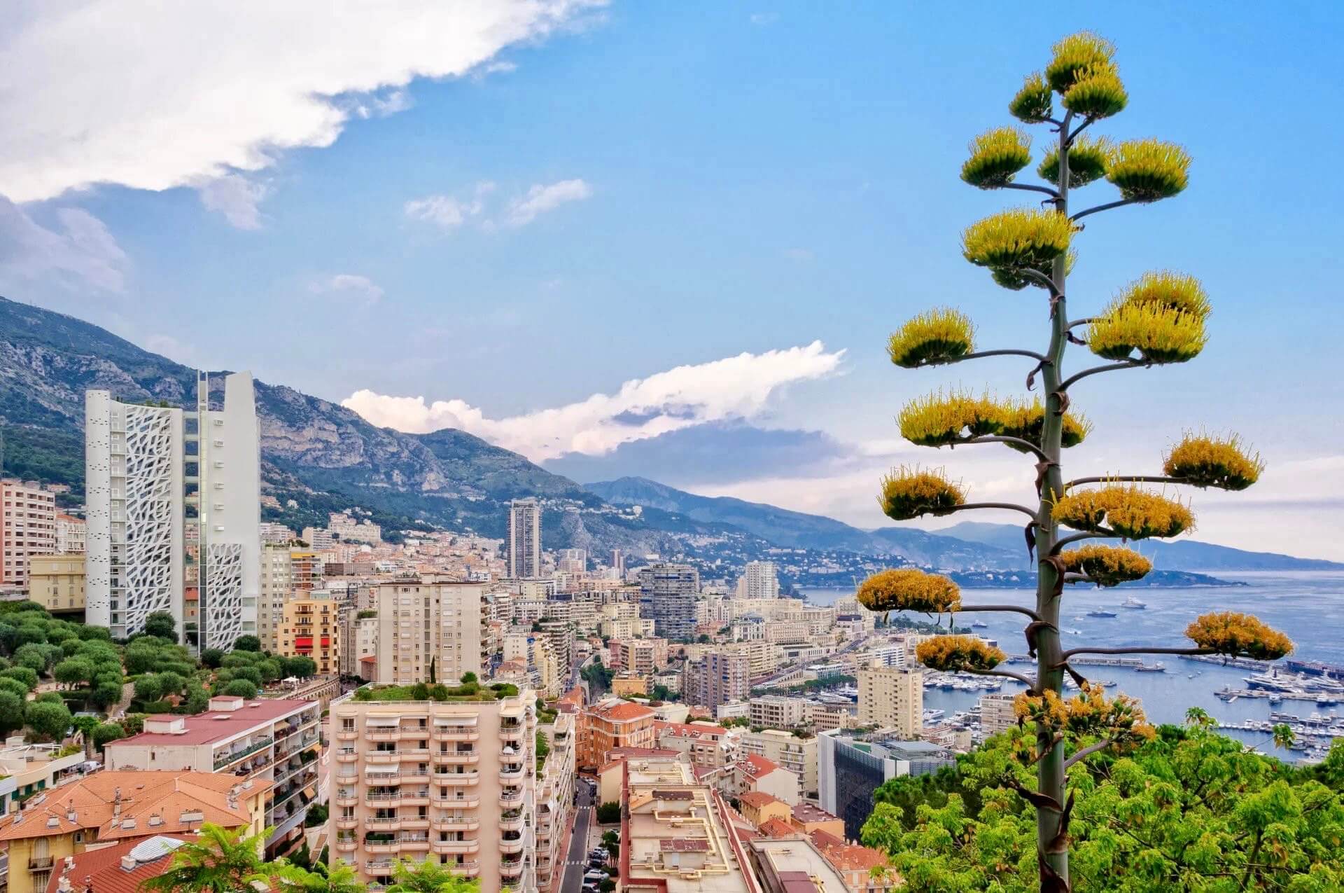 Jardin Exotique